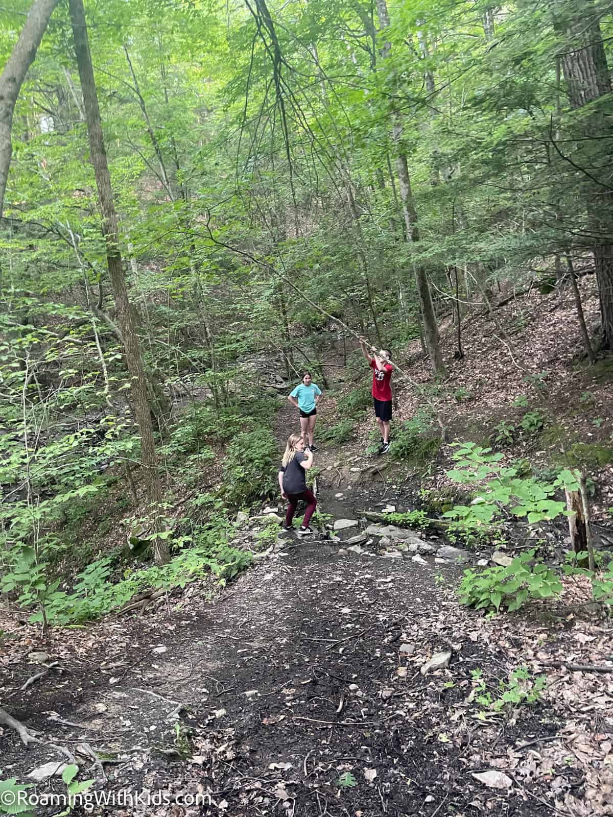 hiking the trails - Things to do in Schenectady New York with Kids