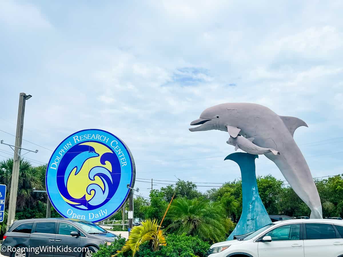 Dolphin Research Center in Marathon Florida