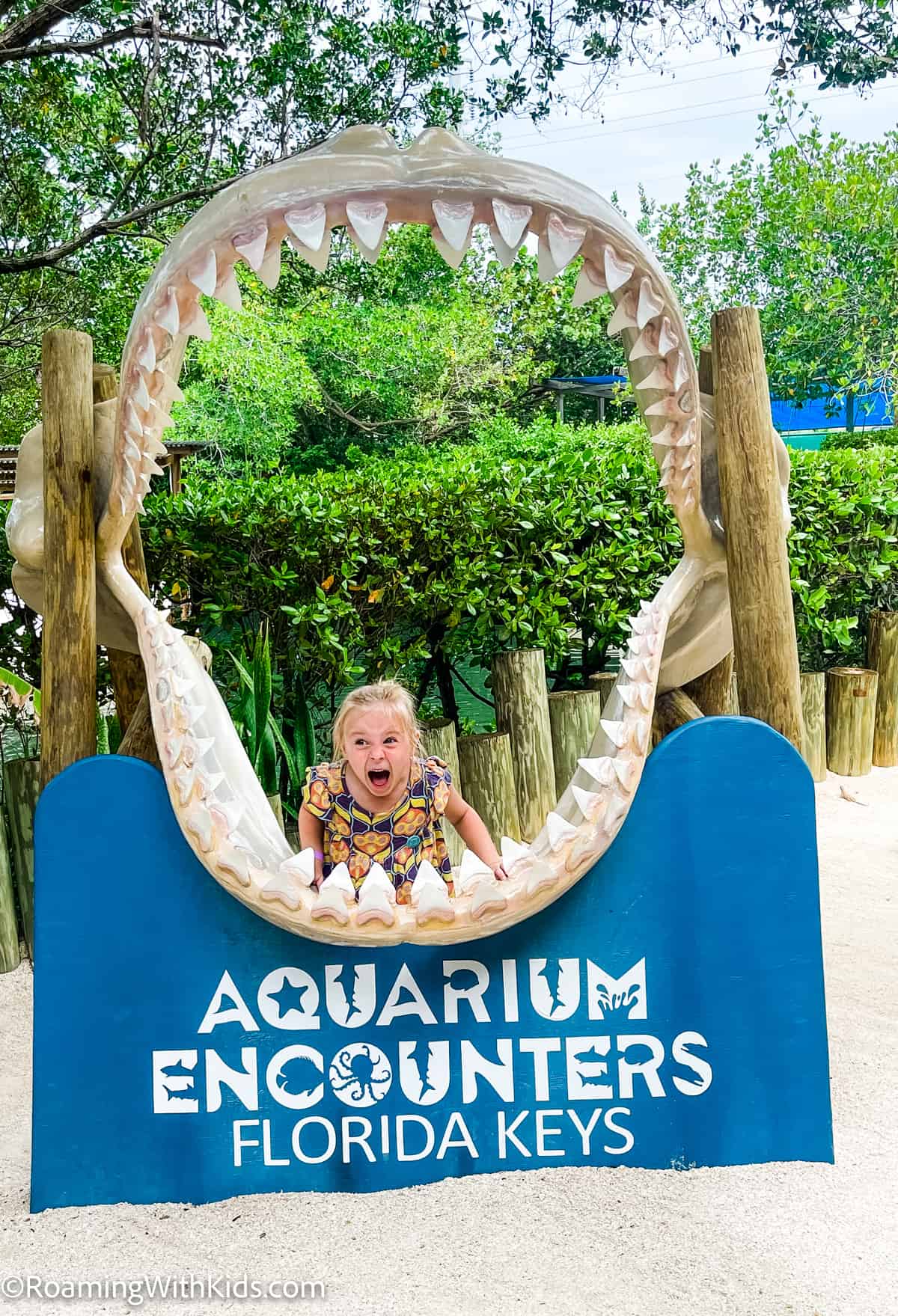 Things to do in Marathon Florida with Kids -Aquarium Encounters Florida 