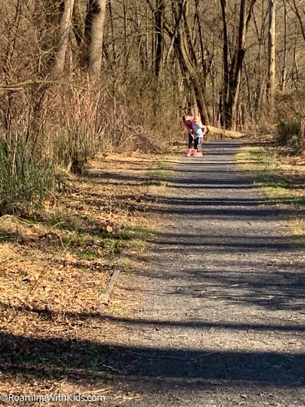 kids on a hiking trail in the Poconos 