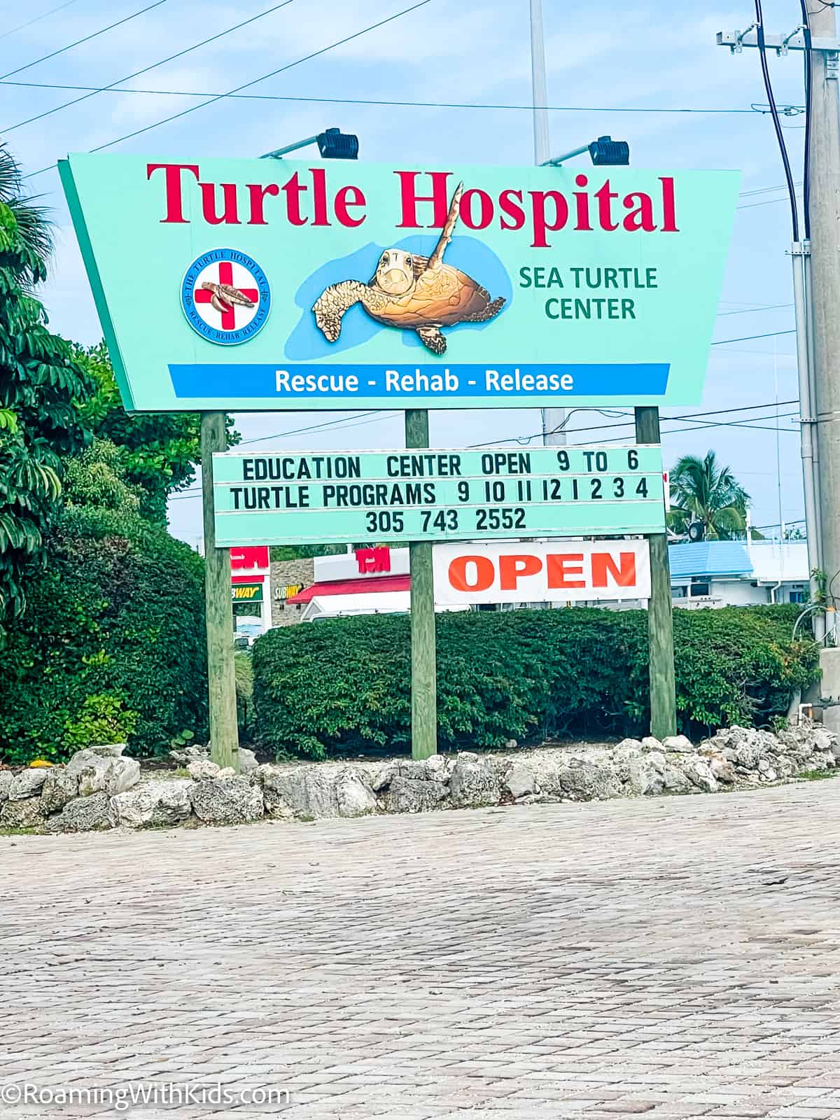 Turtle Hospital in Marathon Florida