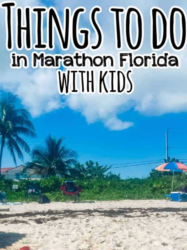 The Best Things to do in Marathon Florida