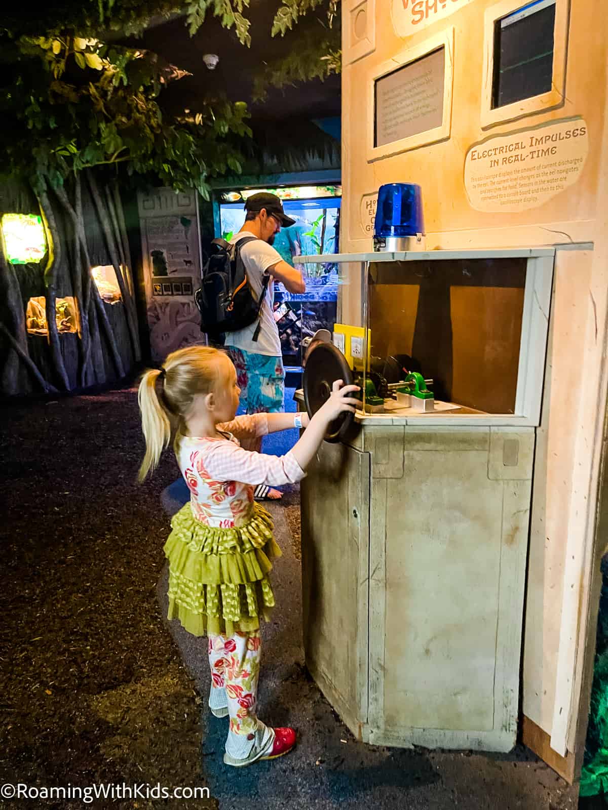 Mystic Aquarium with kids - hands on activities at the aquarium